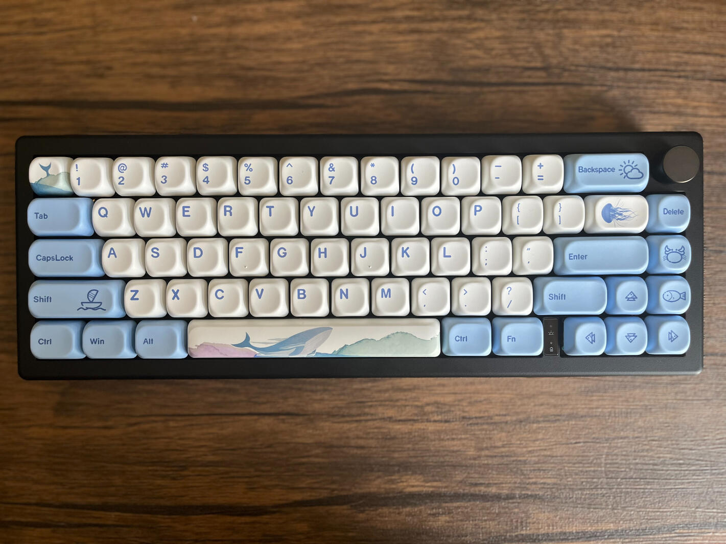 Ocean 65%
